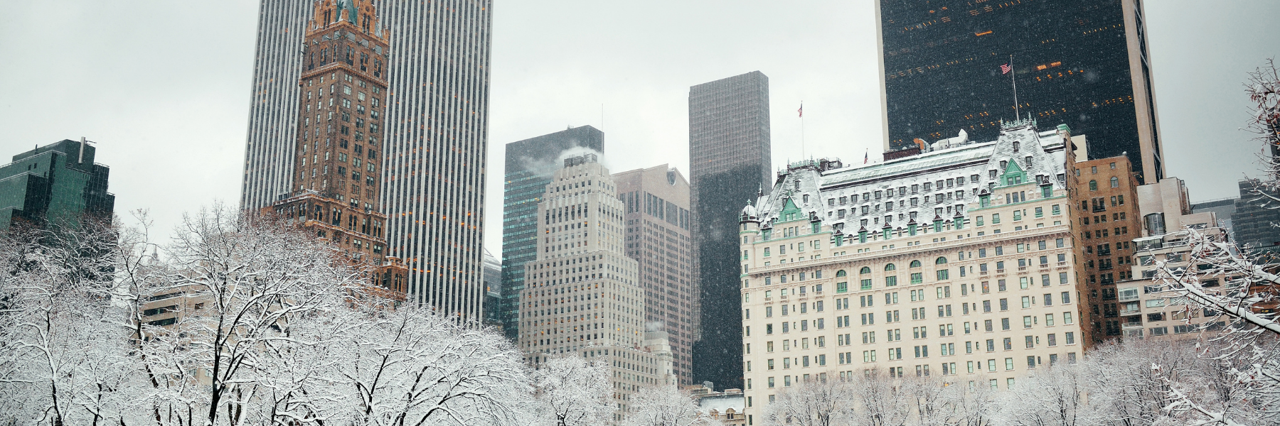 Northeast commercial buildings exposed to winter freeze-thaw cycles and snow